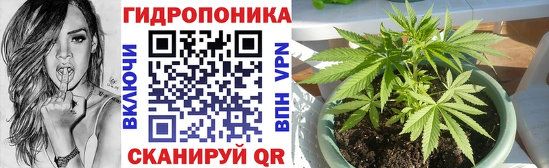 Где найти наркотики Славгород Cocaine  Мефедрон  Гашиш  А ПВП  АМФЕТАМИН  Каннабис 