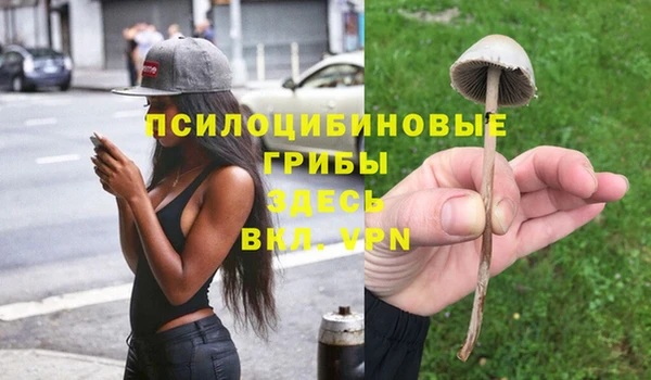 стафф Белокуриха