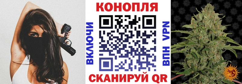Бошки Шишки White Widow  закладки  Славгород 